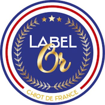 Pourquoi choisir un chiot à l'Elevage de la Garde des Albères