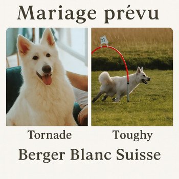 Mariage Tornade Toughy prévu